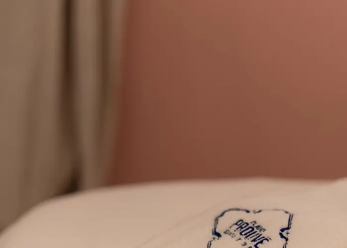 31bis - Cinq D'architecte, Entre Héritage Et Design - Sauna - Centre Appartement Nancy