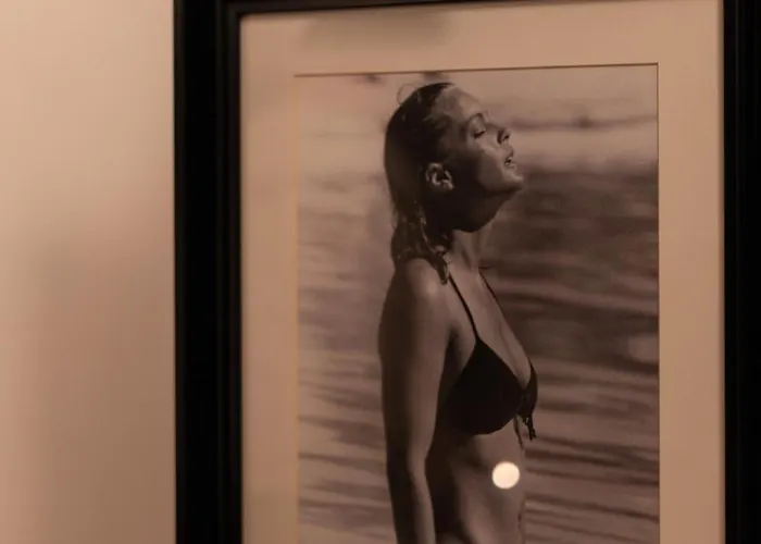 31bis - Cinq D'architecte, Entre Héritage Et Design - Sauna - Centre Appartement